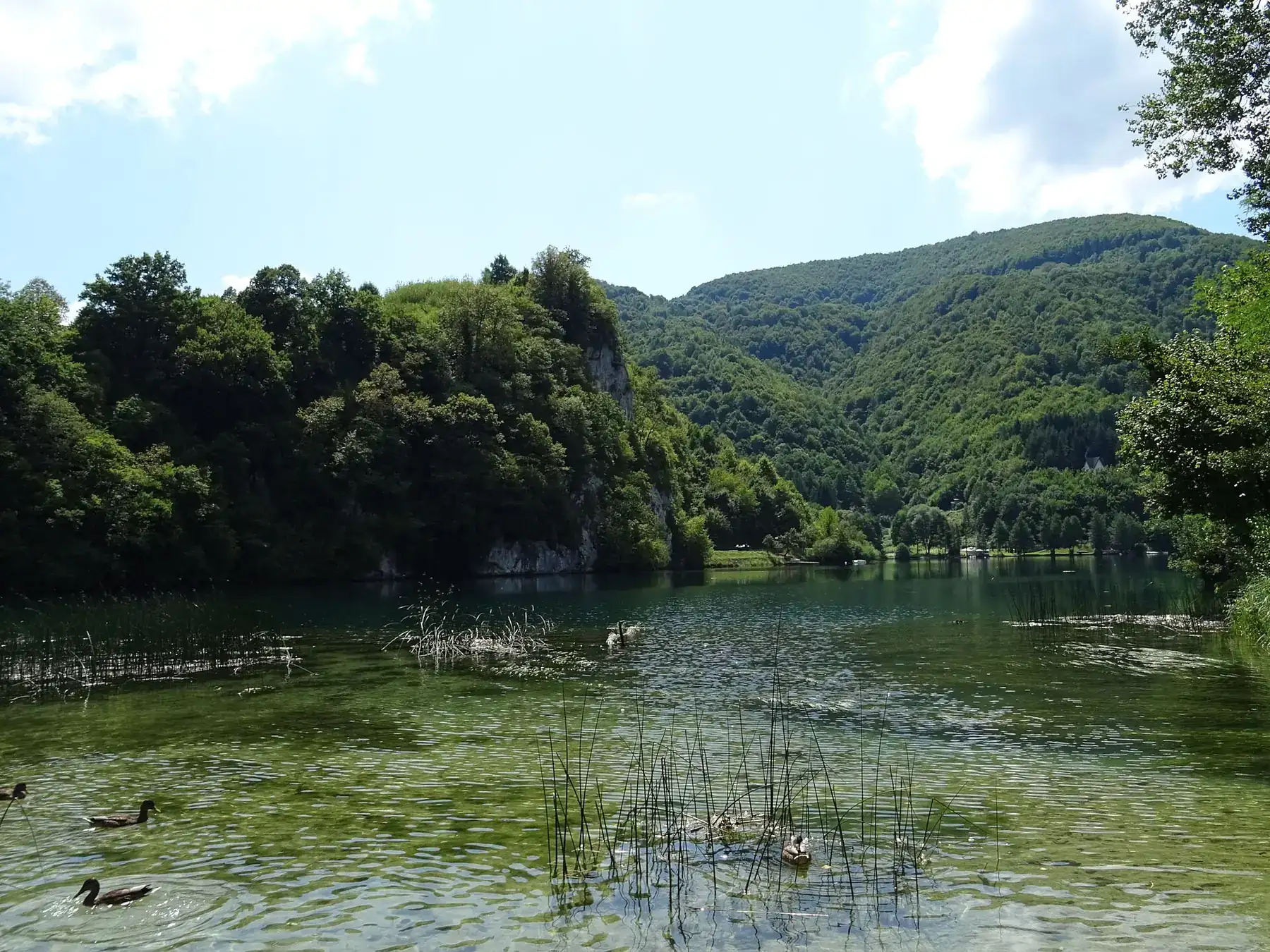 Calm water on the Pliva lakes