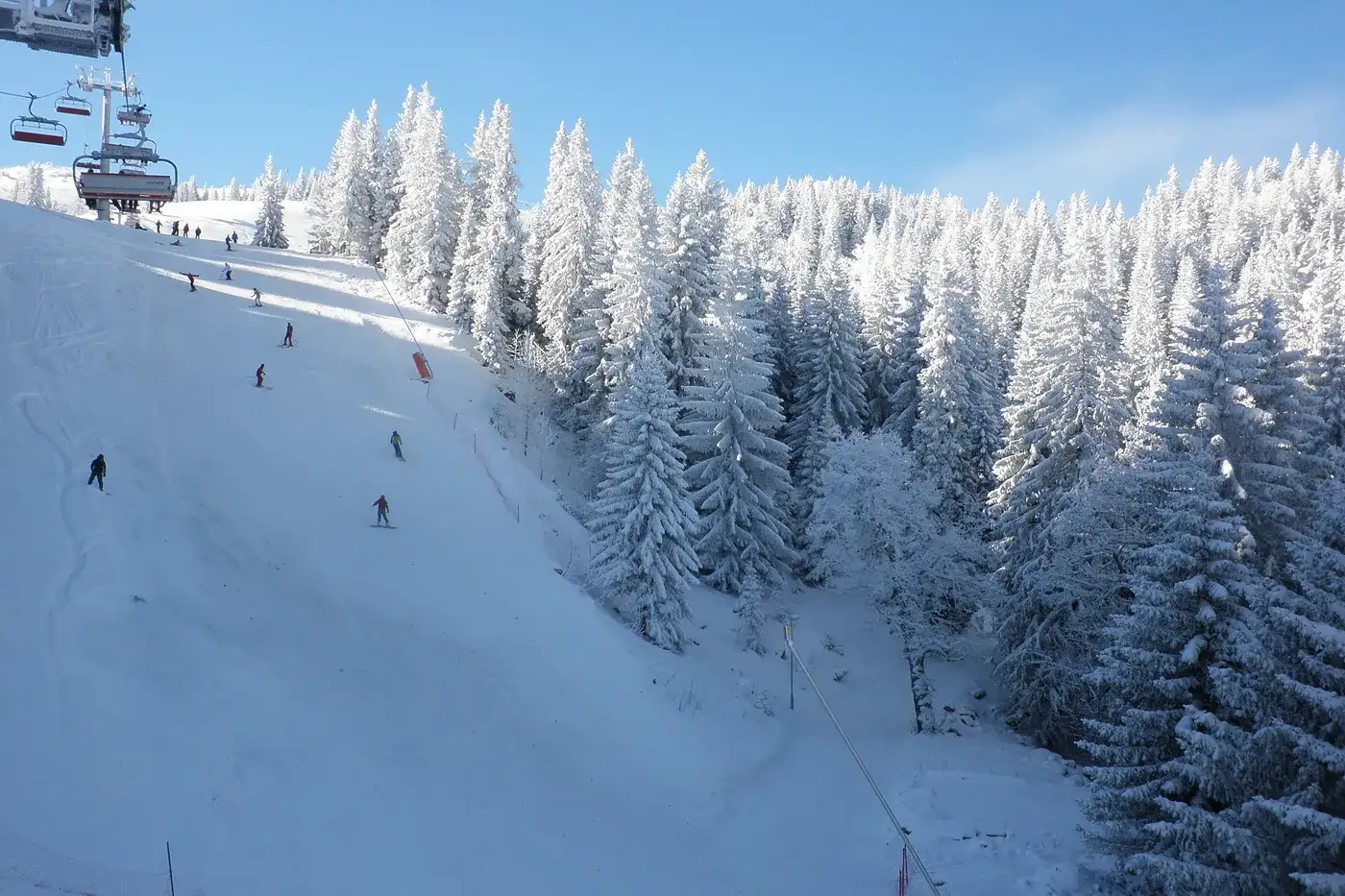 A piste through the forest on Jahorina