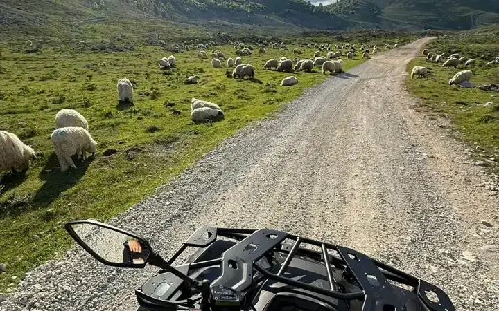 Quad Adventure Sarajevo in Sarajevo, Bosnia and Herzegovina
