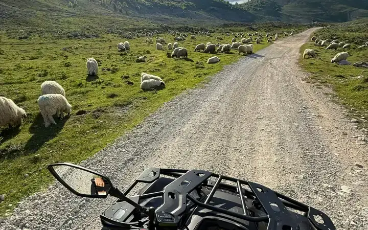 Quad Adventure From Babin Do to Lukomir: What the Ride Is Actually Like