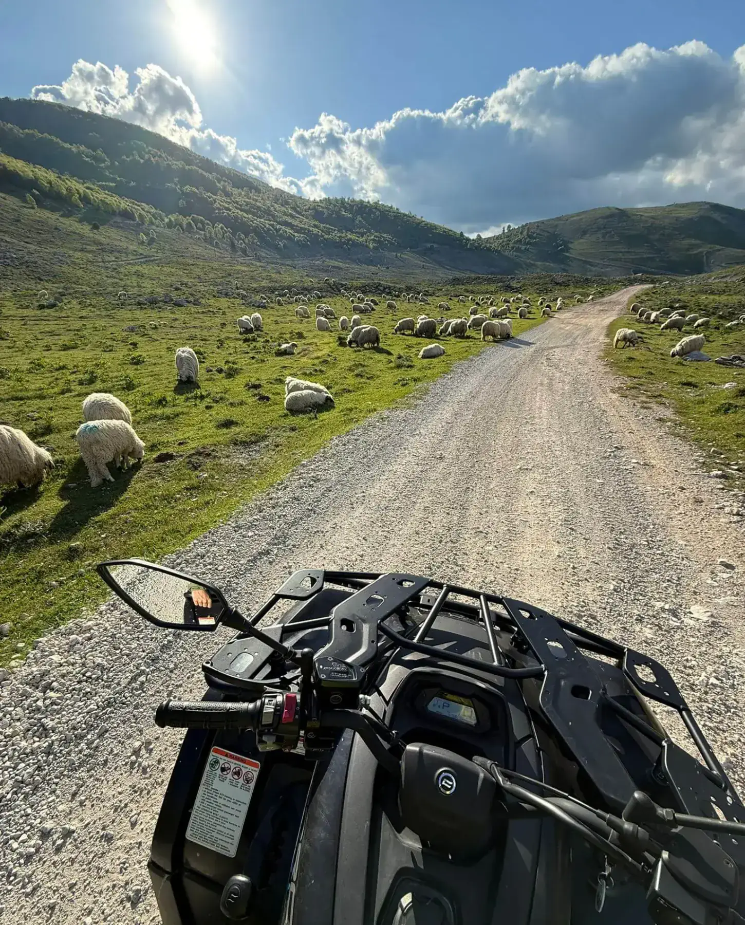 View from a quad bike along a mountain road through grazing sheep
