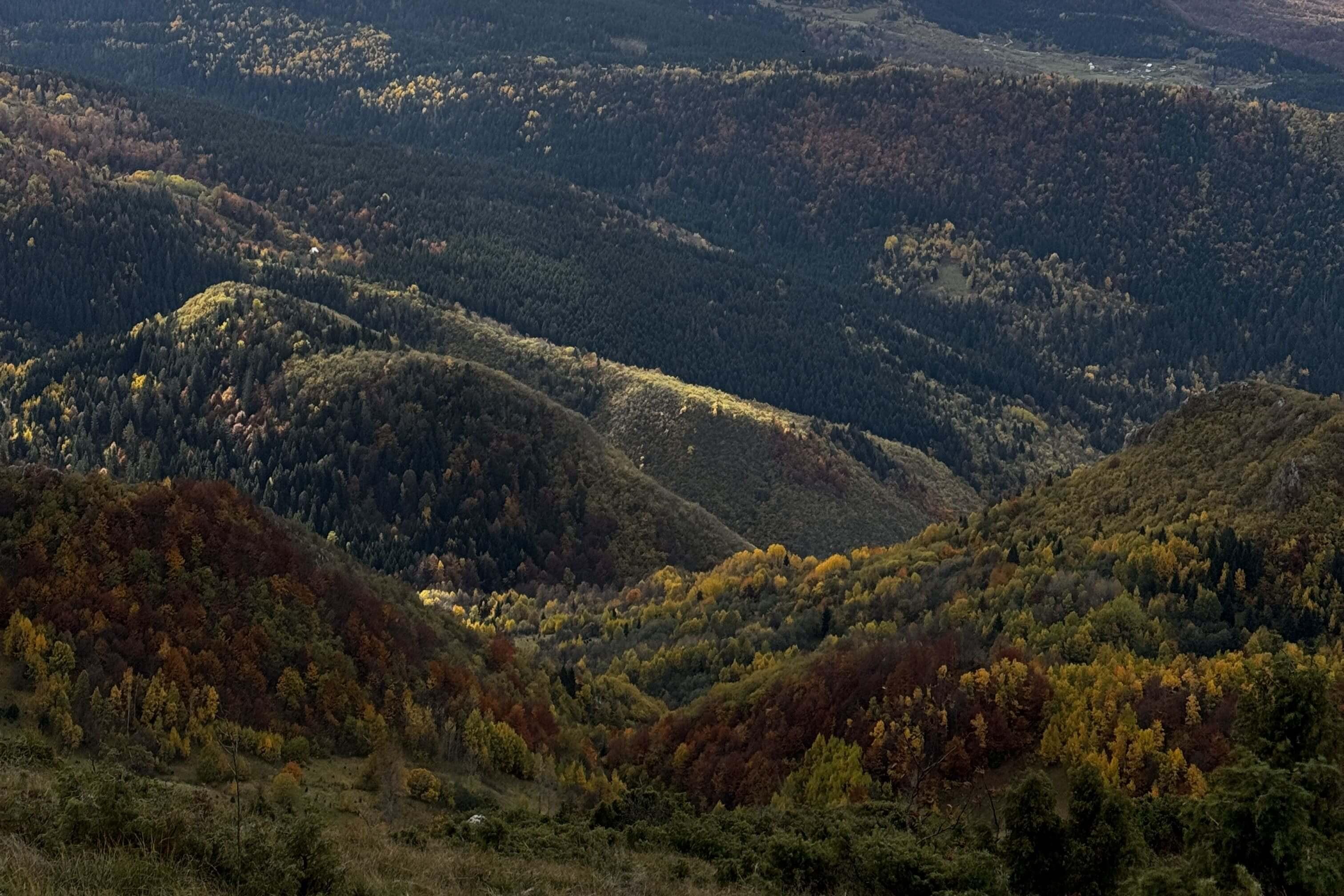 Trebević Olympic Trail