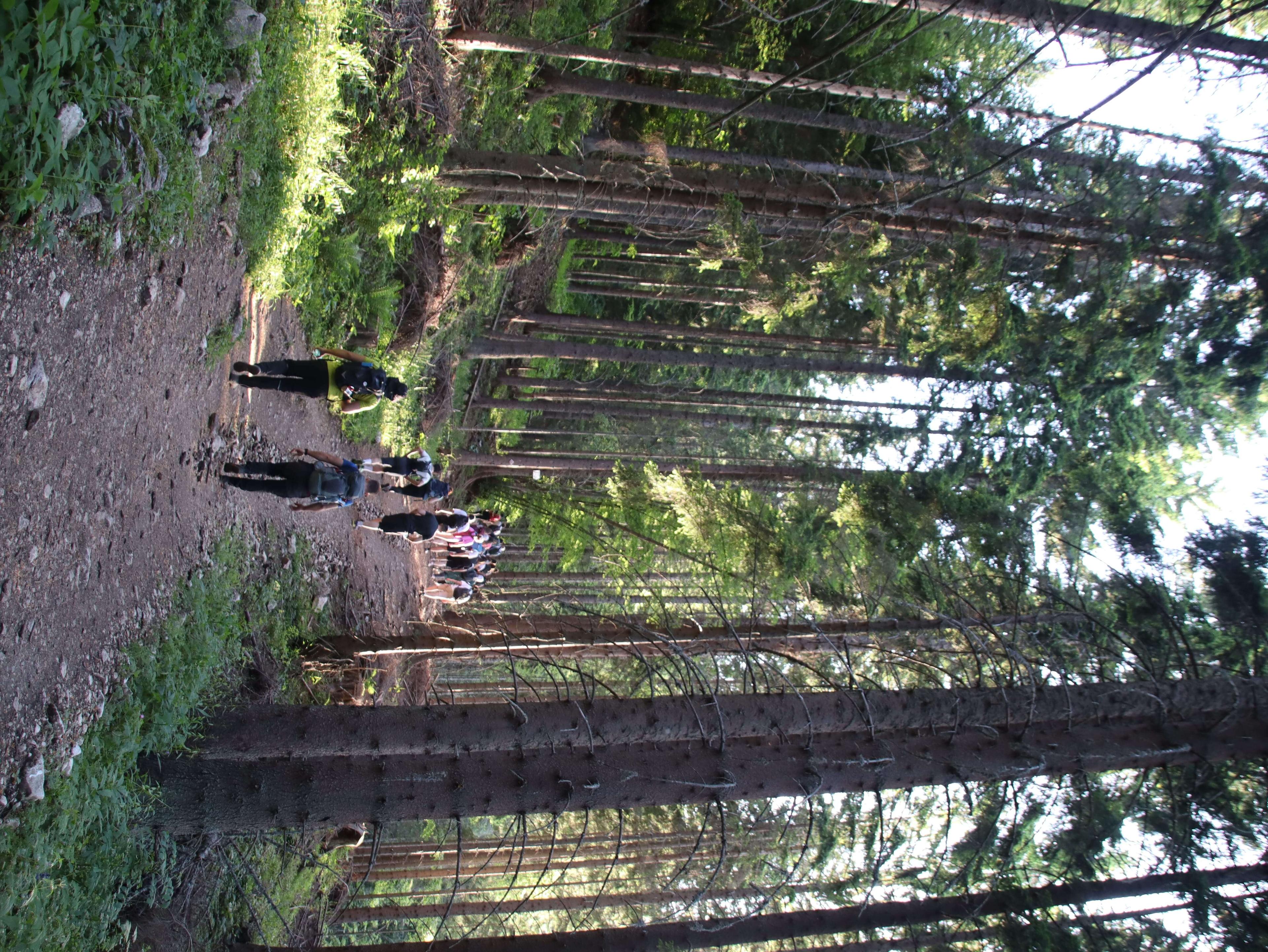 Trebević Olympic Trail