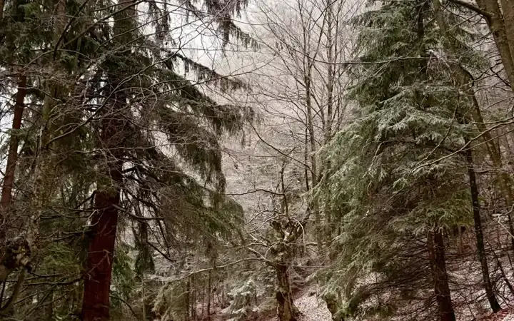 Best Outdoor Day Trips From Sarajevo: Mountains in 30 Minutes