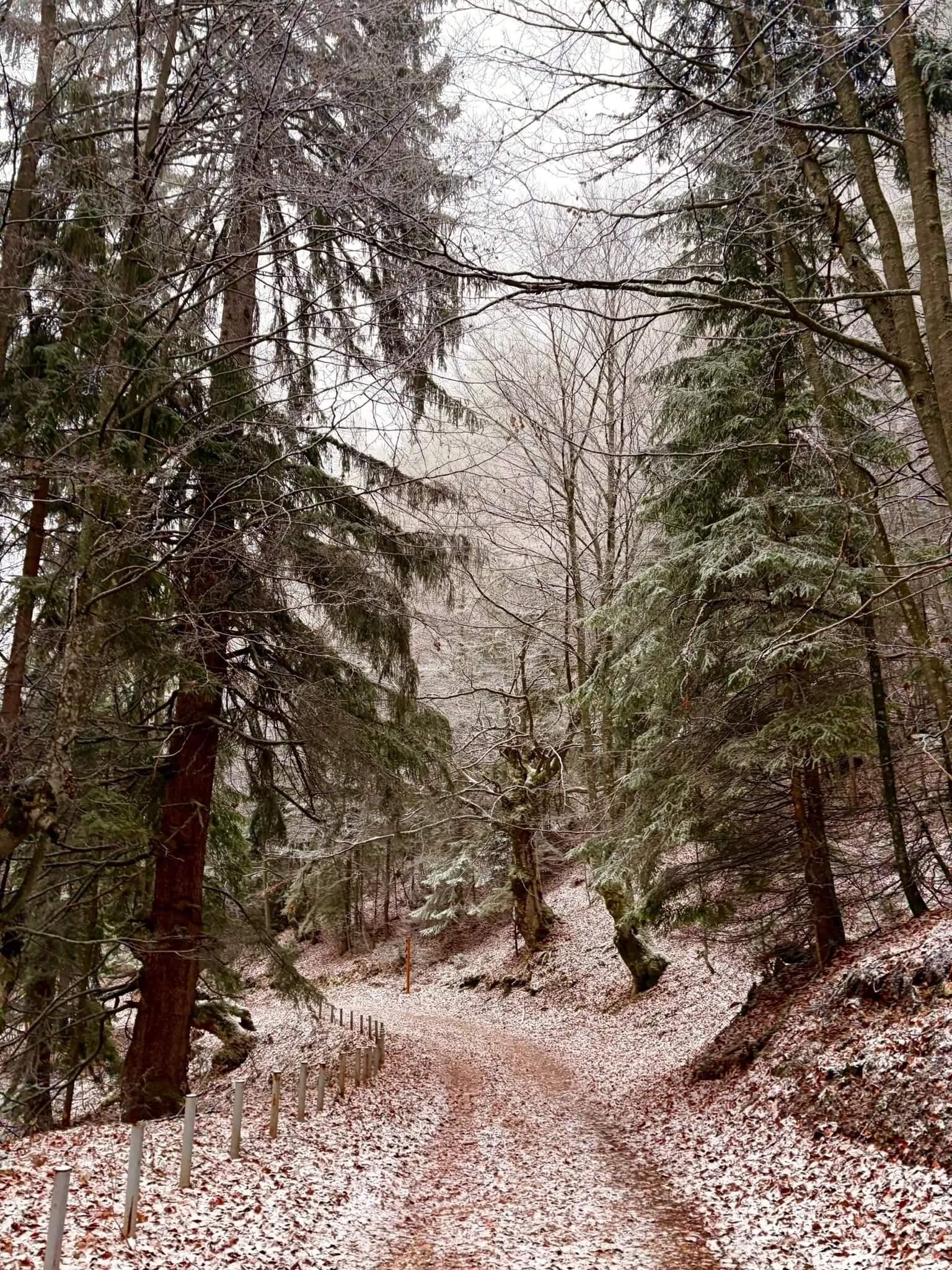 Best Outdoor Day Trips From Sarajevo: Mountains in 30 Minutes